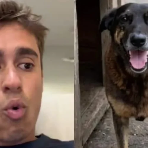 Caso do cão Orelha é usado por deputado para defender redução da maioridade penal