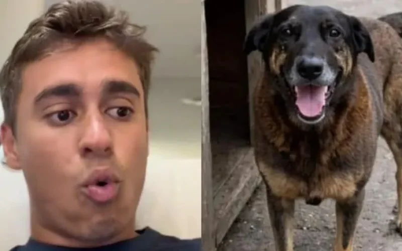 Caso do cão Orelha é usado por deputado para defender redução da maioridade penal