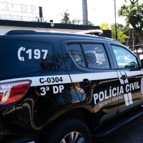 Cães encontrados mortos no Gama são investigados pela Polícia Civil