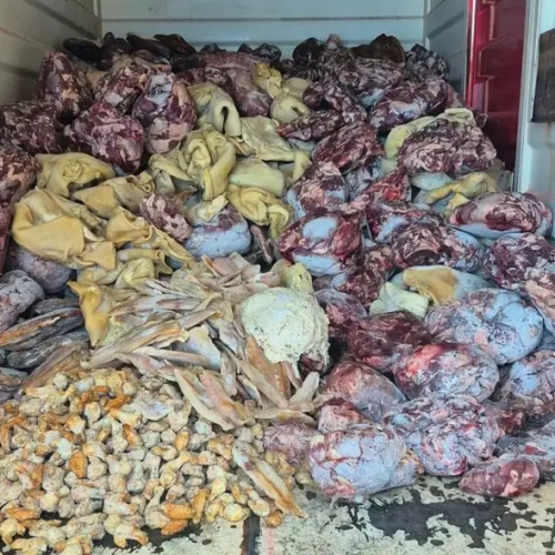Operação apreende 10 toneladas de alimentos irregulares e prende dono de supermercado no Litoral Norte