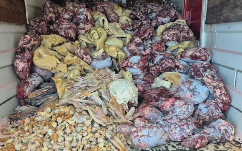 Operação apreende 10 toneladas de alimentos irregulares e prende dono de supermercado no Litoral Norte