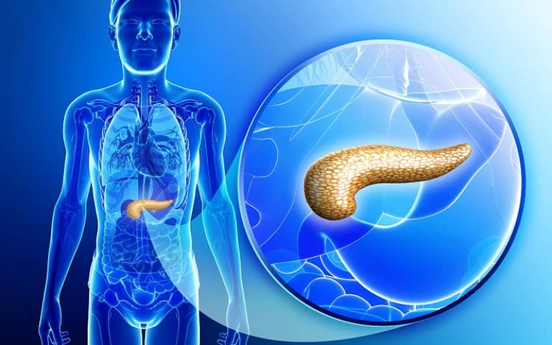 Remédios para diabetes e emagrecimento exigem atenção para risco raro de pancreatite