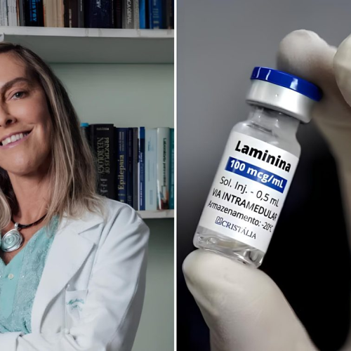 A cientista brasileira que pode devolver movimentos a pacientes com lesões na medula