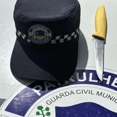 Mulher é presa após esfaquear a mãe, o primo e a tia em Jacobina